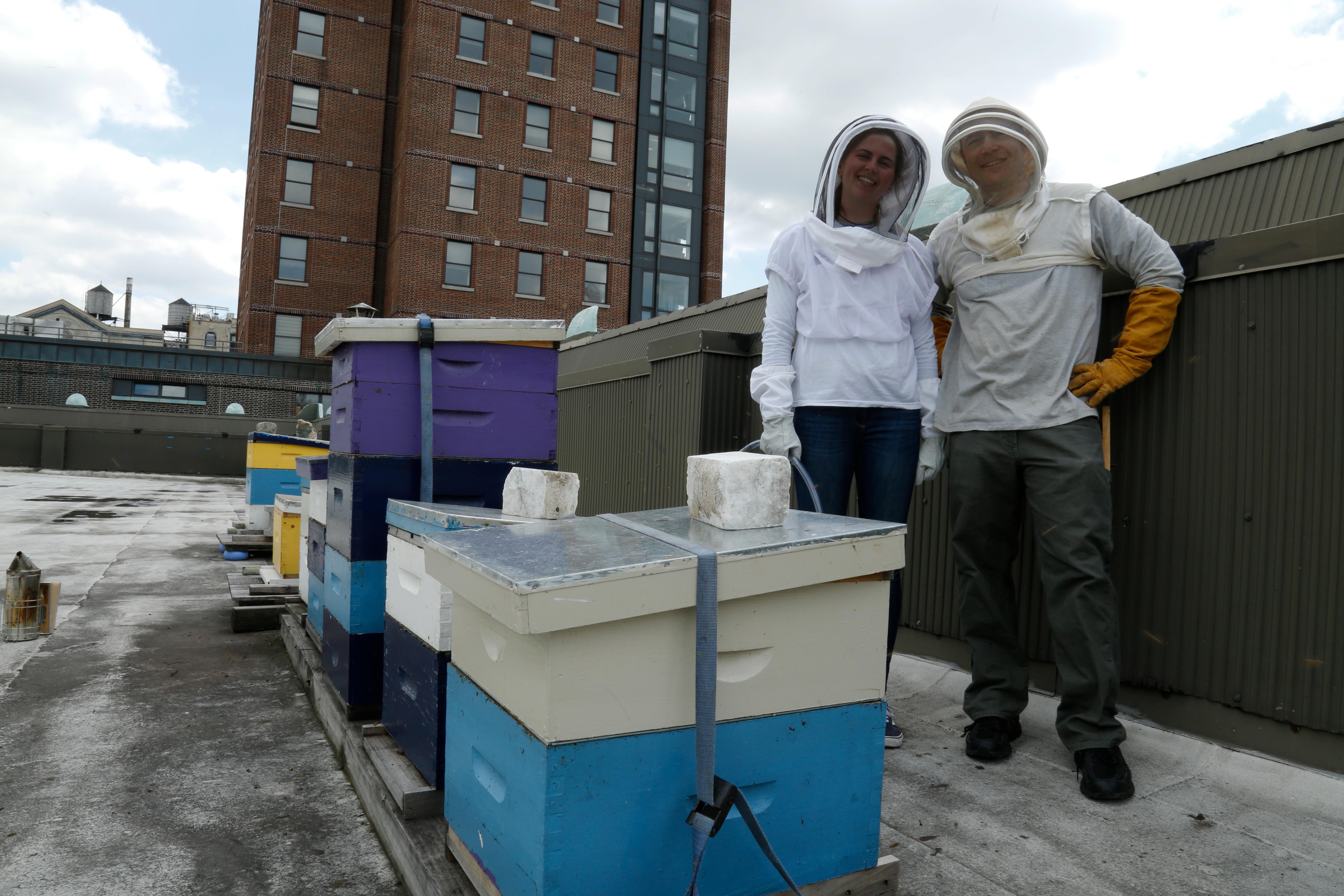 教师 mentor and student mentee researching bee colonies